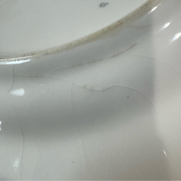 World Market one 8.25” Plate- Portugal - peacock
Replacement plate - Picture 8 of 8